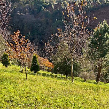Finca Portizuelo ルアルカ エクステリア 写真