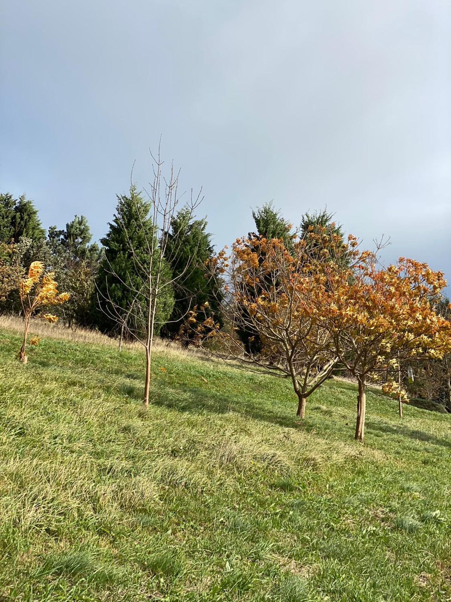 Finca Portizuelo ルアルカ エクステリア 写真