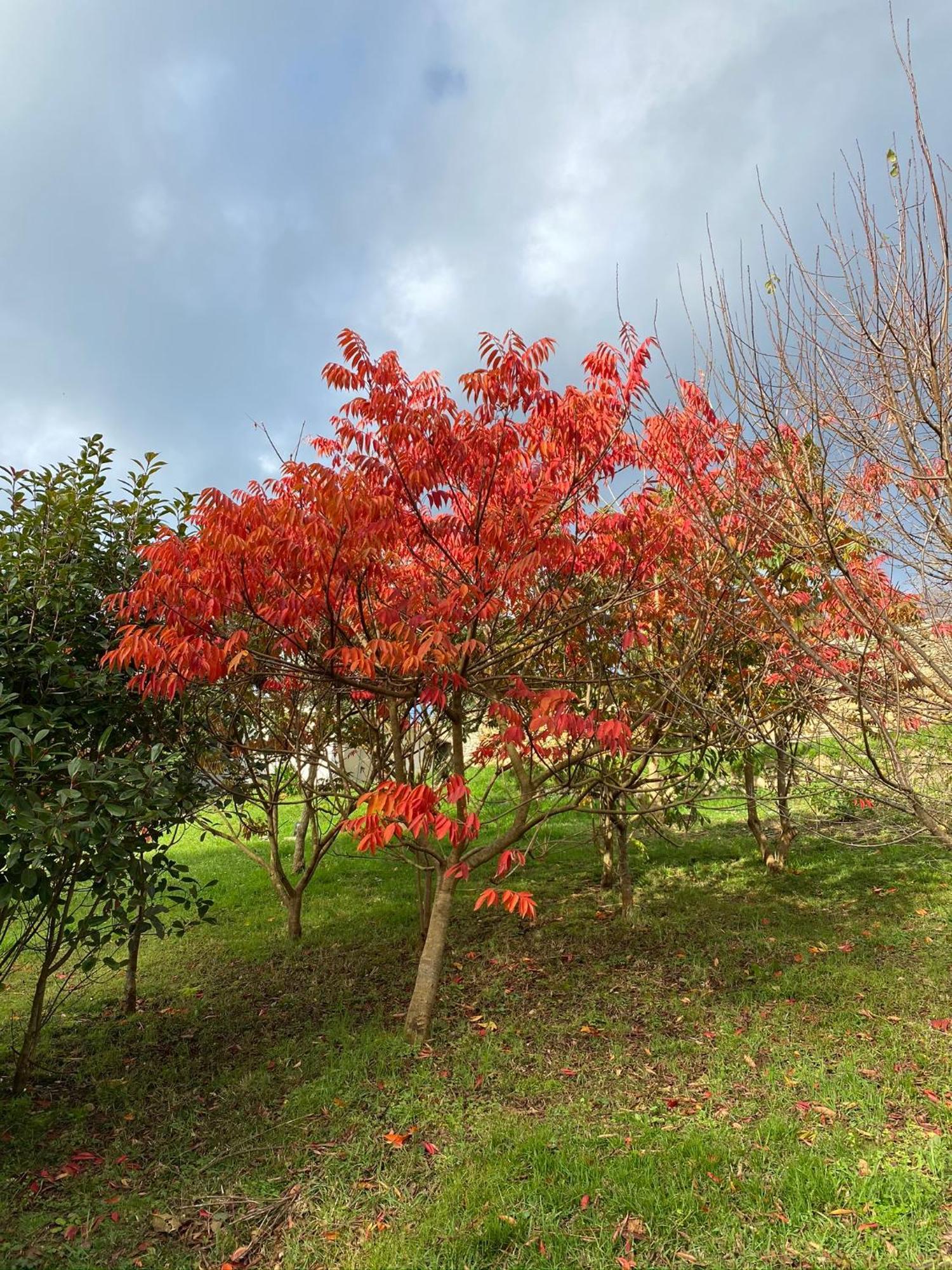 Finca Portizuelo ルアルカ エクステリア 写真
