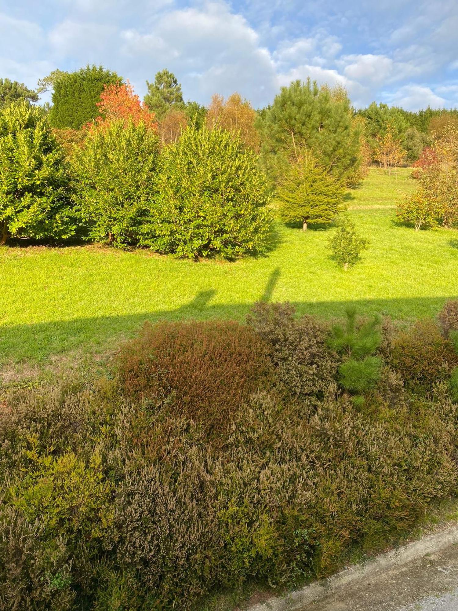 Finca Portizuelo ルアルカ エクステリア 写真