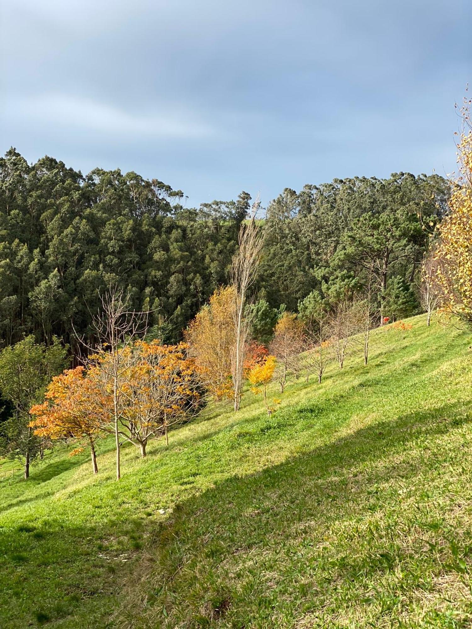 Finca Portizuelo ルアルカ エクステリア 写真