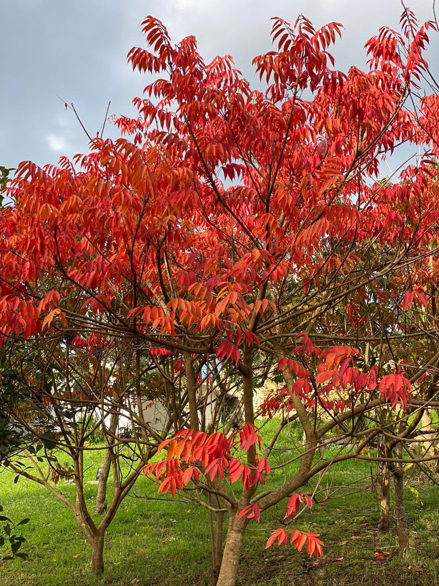 Finca Portizuelo ルアルカ エクステリア 写真