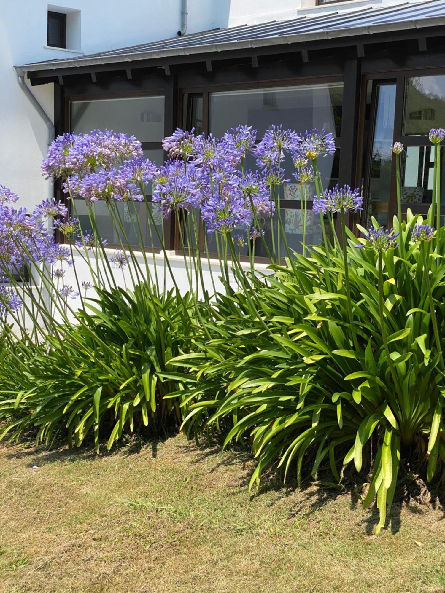 Finca Portizuelo ルアルカ エクステリア 写真