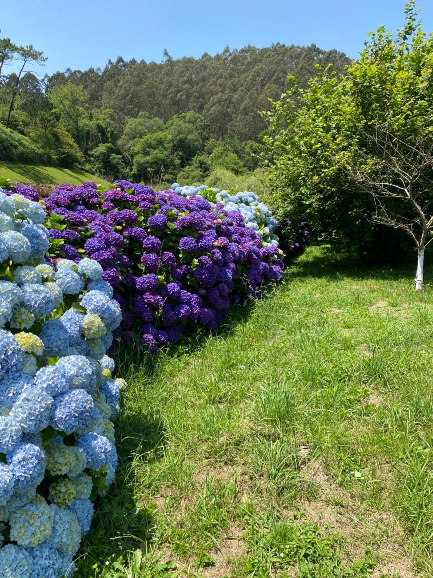 Finca Portizuelo ルアルカ エクステリア 写真