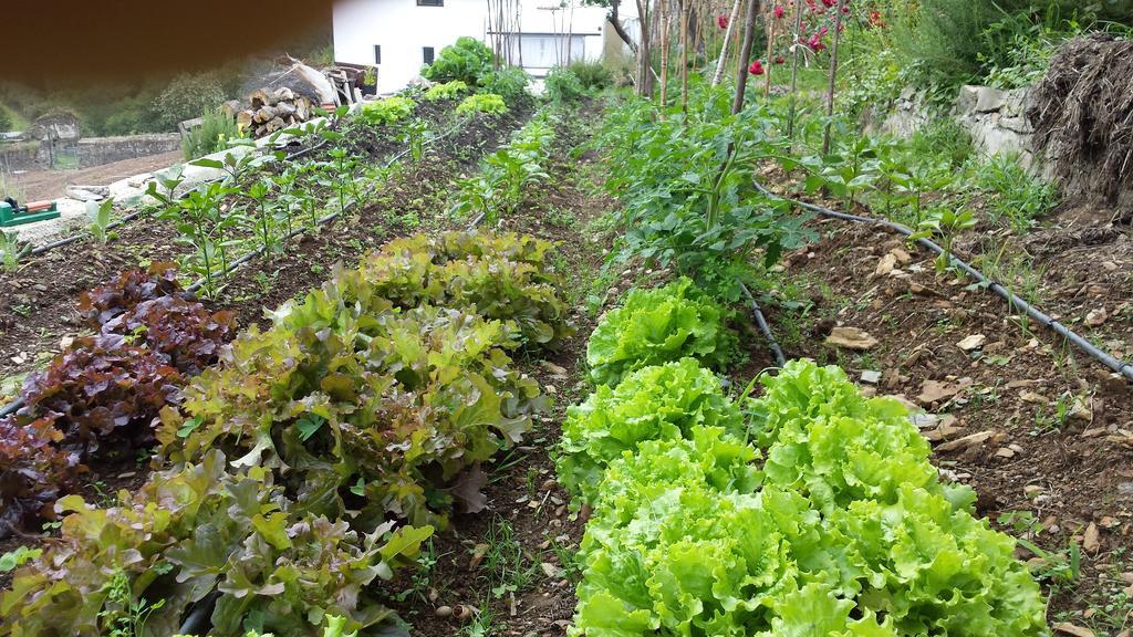 Finca Portizuelo ルアルカ エクステリア 写真