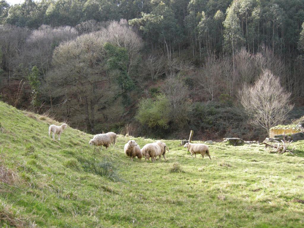 Finca Portizuelo ルアルカ エクステリア 写真