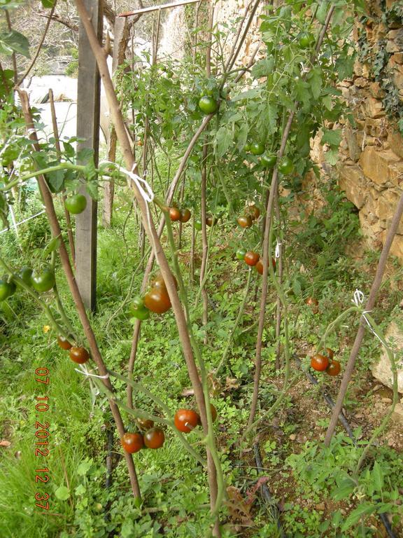 Finca Portizuelo ルアルカ エクステリア 写真
