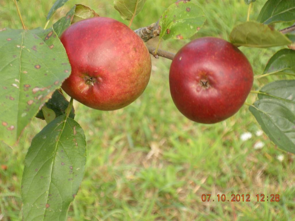 Finca Portizuelo ルアルカ エクステリア 写真