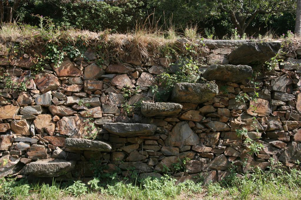 Finca Portizuelo ルアルカ エクステリア 写真